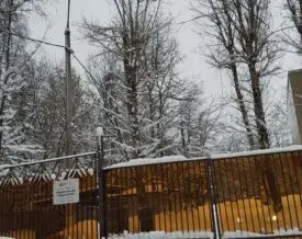 «Тепло и уют»: поздравления с Новым годом и Рождеством - фото 4