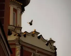 Приход храма отметил Престольный праздник - фото 4