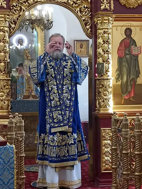 Покров Пресвятой Богородицы: Литургия митрополита Владимира - фото 11
