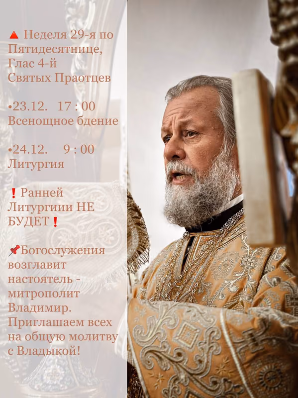 Богослужения недели святых праотцев: митрополит Владимир
