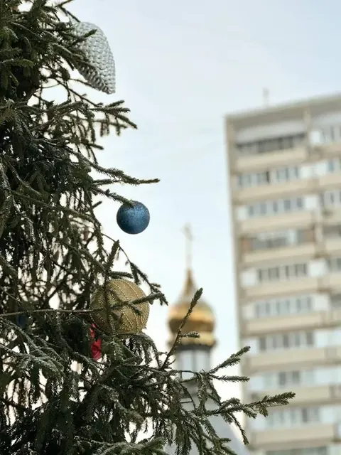 В праздник Рождества Христова совершено Богослужение - фото 11