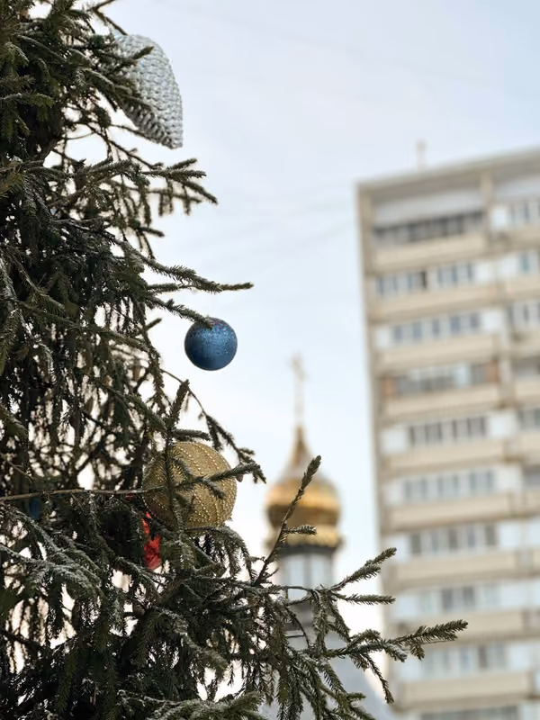 В праздник Рождества Христова совершено Богослужение - фото 11