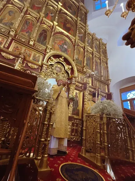 Неделя о Страшном Суде: Литургия митрополита Владимира - фото 8