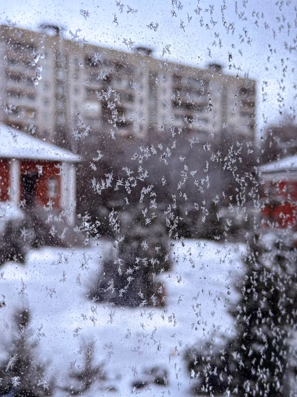 В неделю по Рождестве Христовом совершено Богослужение - фото 11